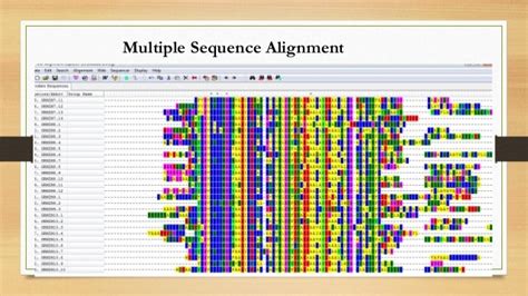 MEGA 6.0.6 Molecular Evolutionary Genetics Analysis .